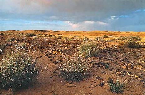 Tademait, Algeria